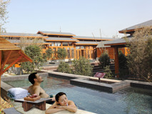 南國綠沁春意暖，八方捷報紛沓至